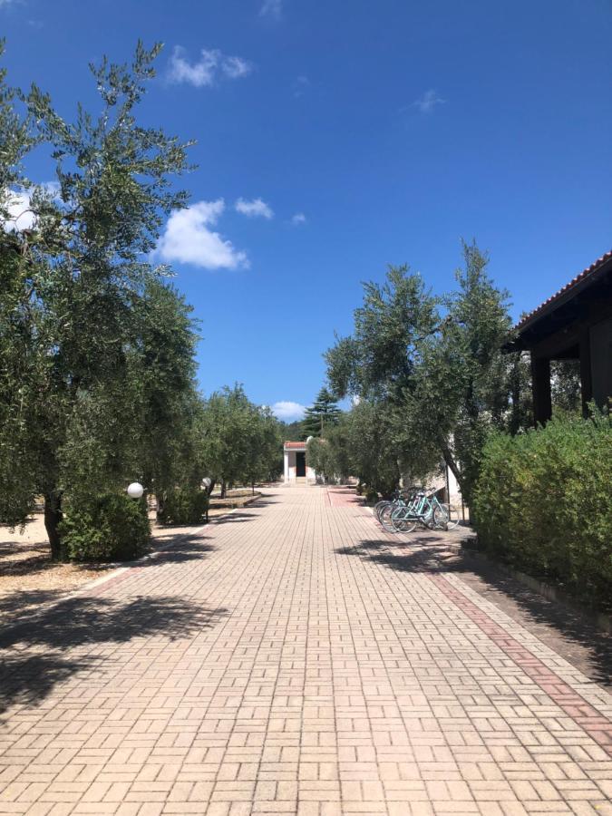 Tenuta Montincello В'єсте Екстер'єр фото