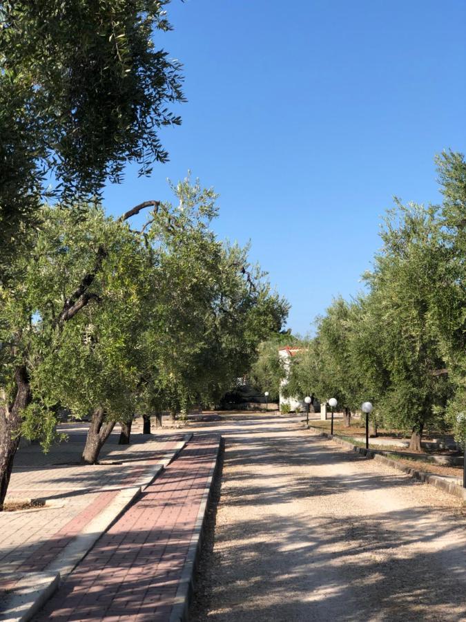 Tenuta Montincello В'єсте Екстер'єр фото